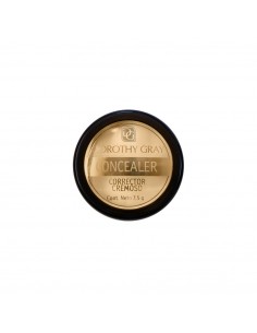 CORRECTOR DG CREMOSO BEIGE 01