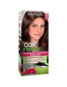 TINT GARNIER MINIKIT C INTEN 5.0 CAST CL