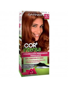 TINT GARNIER MINIKIT C INTEN 6.7 CHOCO