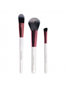 PINCELES Y BROCHAS FASCINO SET MULTI TASK 5 UN