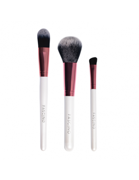 PINCELES Y BROCHAS FASCINO SET MULTI TASK 5 UN