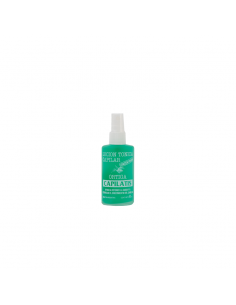 LOCION CAPILATIS  ORTIGA X120 ML