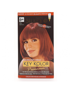 TINT SILKEY PREMIUM Nº6.66 RUBIO OSC ROJO