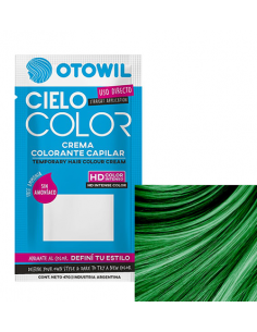 TINT CIELO COLOR VERDE X47 GR