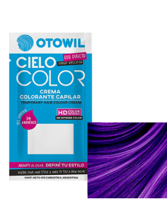 TINT CIELO COLOR VIOLETA X47 GR