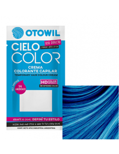 TINT CIELO COLOR AZUL FRANCIA X47 GR