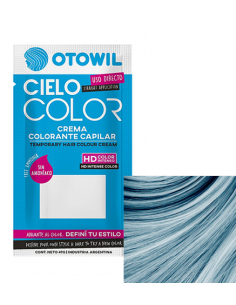TINT CIELO COLOR CELESTE X47 GR