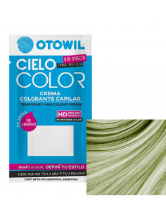 TINT CIELO COLOR VERDE MELON X47 GR