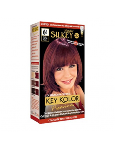 TINT SILKEY PREMIUM Nº6.6 RUBIO OSCURO RO