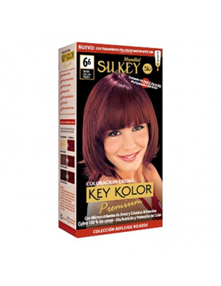 TINT SILKEY PREMIUM Nº6.6 RUBIO OSCURO RO