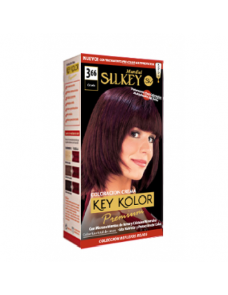 TINT SILKEY PREMIUM Nº3.66 CIRUELA