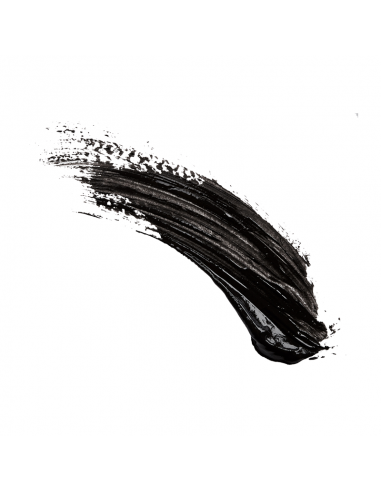 MASCARA PARA PESTAÑAS VOGUE RESIST 36 HS WTP BLACK 9 GR