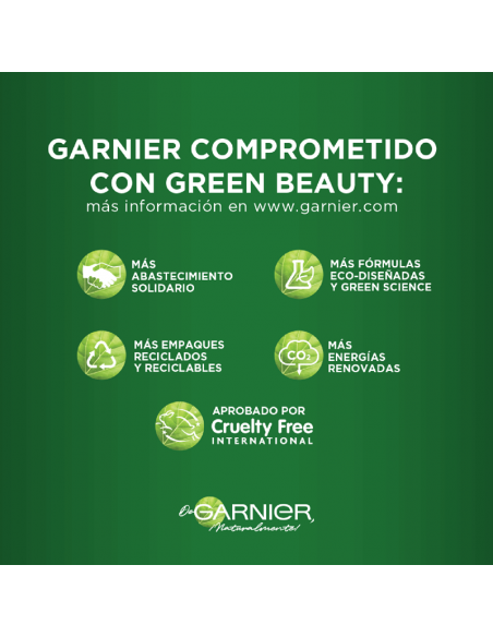 MASCARA FACIAL GARNIER MINI AMP DETOX