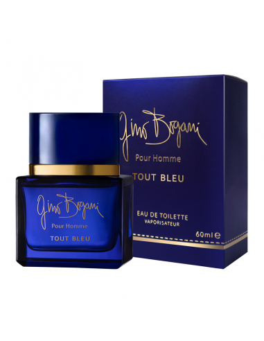 COLONIAS/PERFUMES/LOCIONES GINO BOGANI TOUT BLUE MEN 60 CC