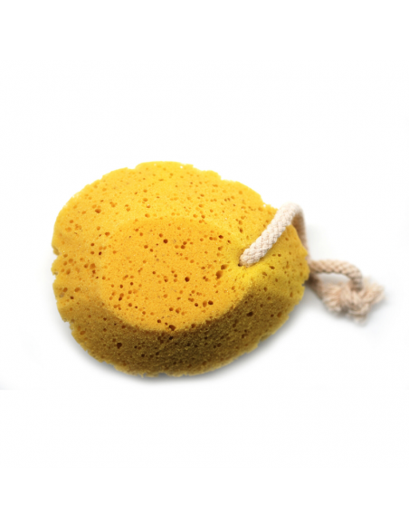 ESPONJA BASICCARE DE BAÑO ESTILO DE MAR