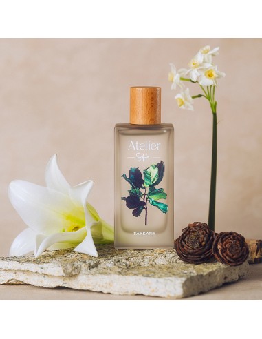 COLONIAS/PERFUMES/LOCIONES SARKANY SOFIA ATELIER A01 EDP 100 CC