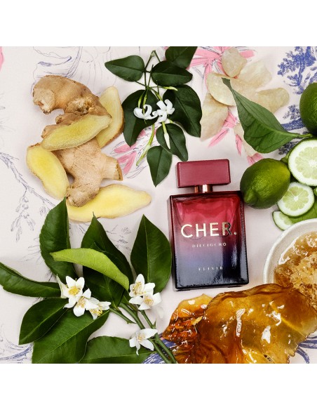 COLONIAS/PERFUMES/LOCIONES CHER EDP DIECIOCHO ELIXIR 100 CC