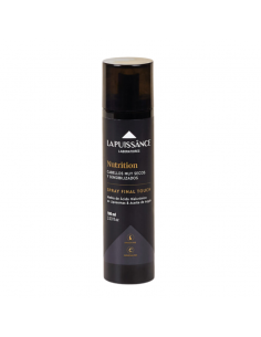 FIJADORES PARA CABELLO LA PUISSANCE NUTRICION FINAL TOUCH 100 cc
