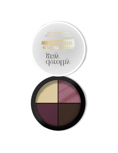 SOMBRAS DOROTHY GRAY CUARTETO VIOLET PALETTE  