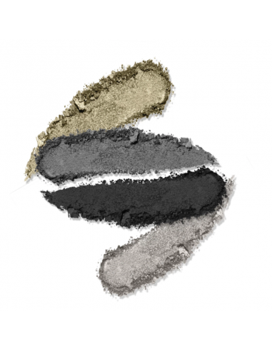 SOMBRAS DOROTHY GRAY CUARTETO GREY PALETTE  