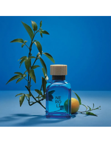 FRAGANCIAS SEMI-SELECTIVAS ADOLFO DOMINGUEZ NEROLI EDT 120 CC
