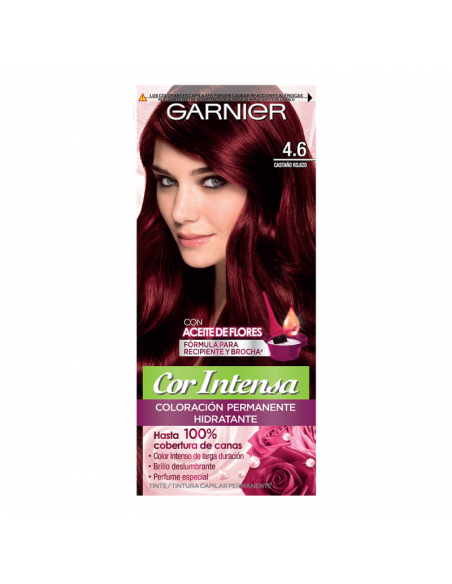 KIT CON AMONIACO GARNIER MINIKIT COR INTENSA 4.6 CAST.ROJIZO  