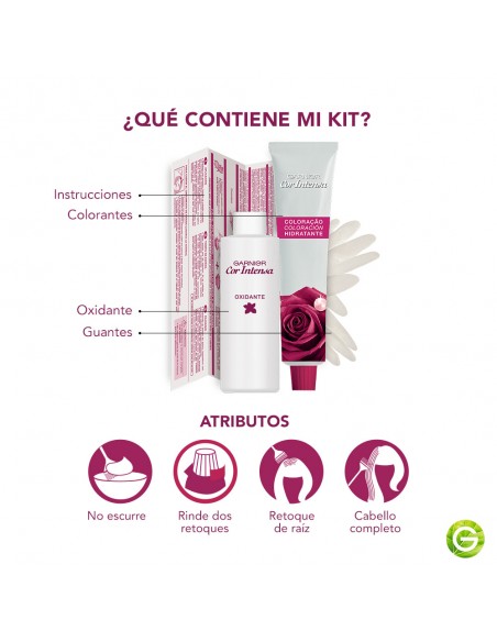 KIT CON AMONIACO GARNIER MINIKIT COR INTENSA 6.46 ROJ.COBR  