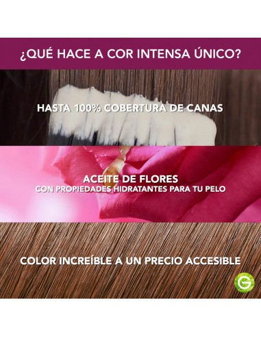 KIT CON AMONIACO GARNIER MINIKIT COR INTENSA 5.62 CHOCOLATE  