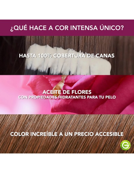 KIT CON AMONIACO GARNIER MINIKIT COR INTENSA 4.15 CAST.CE.CA  
