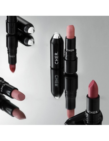 LABIALES CHER SATIN KISS LIPSTICK T02 ROSEWOOD  