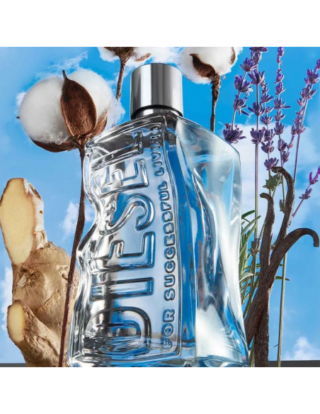 SET DE PERFUME DIESEL EDT 100CC+SHOWER GEL 75CC  
