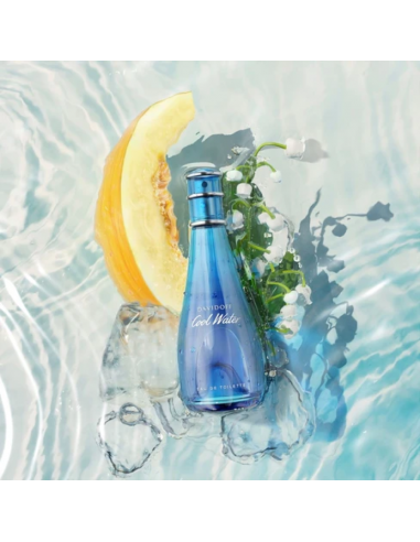 FRAGANCIAS SELECTIVAS DAVIDOFF COOL WATER FEM 100 CC