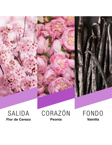 COLONIAS/PERFUMES/LOCIONES PRET A PORTER TOKYO EDP 100 CC