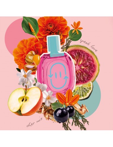 COLONIAS/PERFUMES/LOCIONES CHER MIX SPEAK LOVE EDT 75 CC