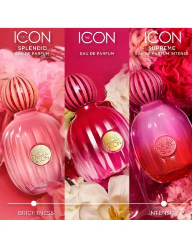 FRAGANCIAS SEMI-SELECTIVAS ANTONIO BANDERAS ICON WOMAN SUPREME EDP 50 CC