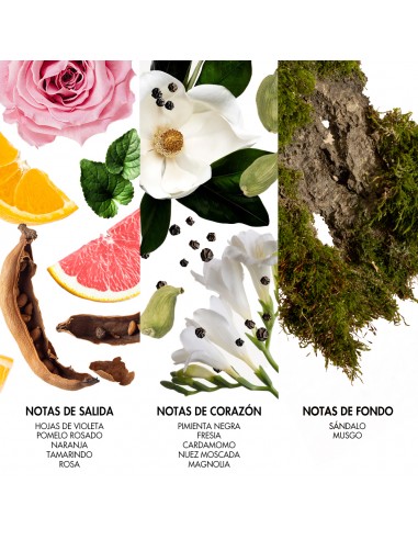 COLONIAS/PERFUMES/LOCIONES PRET A PORTER EDT 100 CC